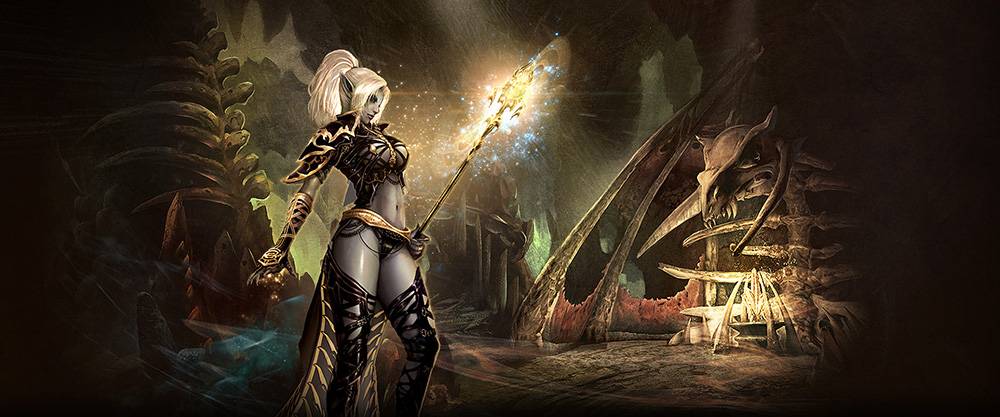 Cộng đồng Lineage 2 Việt Nam – Quá khứ kiên cường, tương lai rộng mở 4 Lineage 2 10042025 4